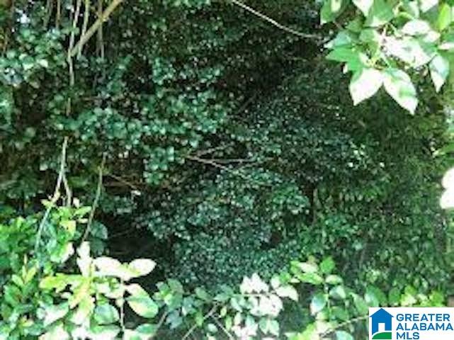 Photo 1 of 1 — 1852 TARRANT HUFFMAN ROAD 1, BIRMINGHAM, AL 35217