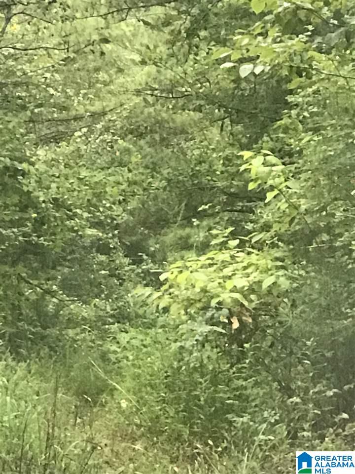 Photo 1 of 2 — POLARIS CIRCLE 9, ALPINE, AL 35014