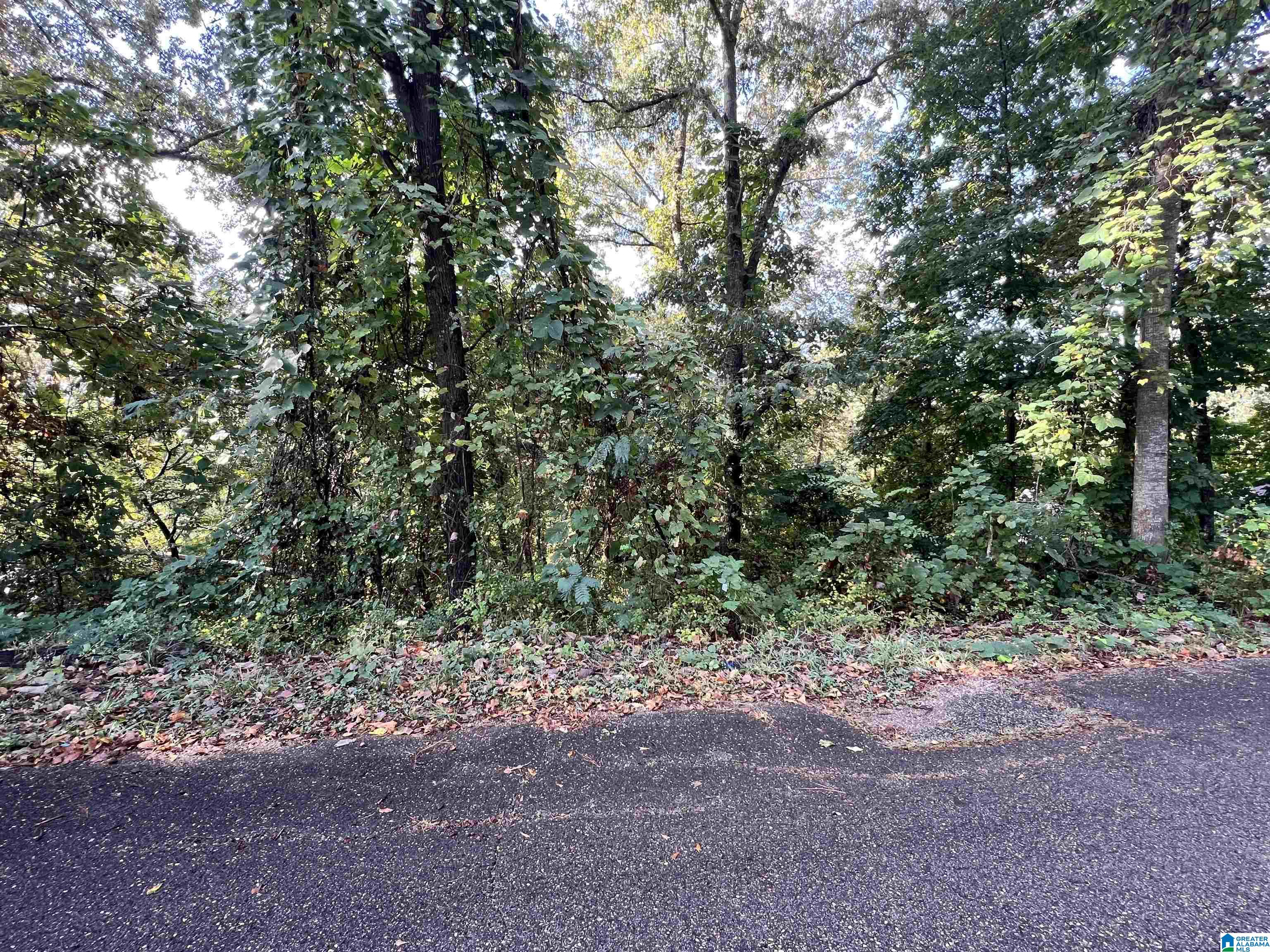 Photo 1 of 3 — 3116 BRENTWOOD DRIVE 6, OXFORD, AL 36203