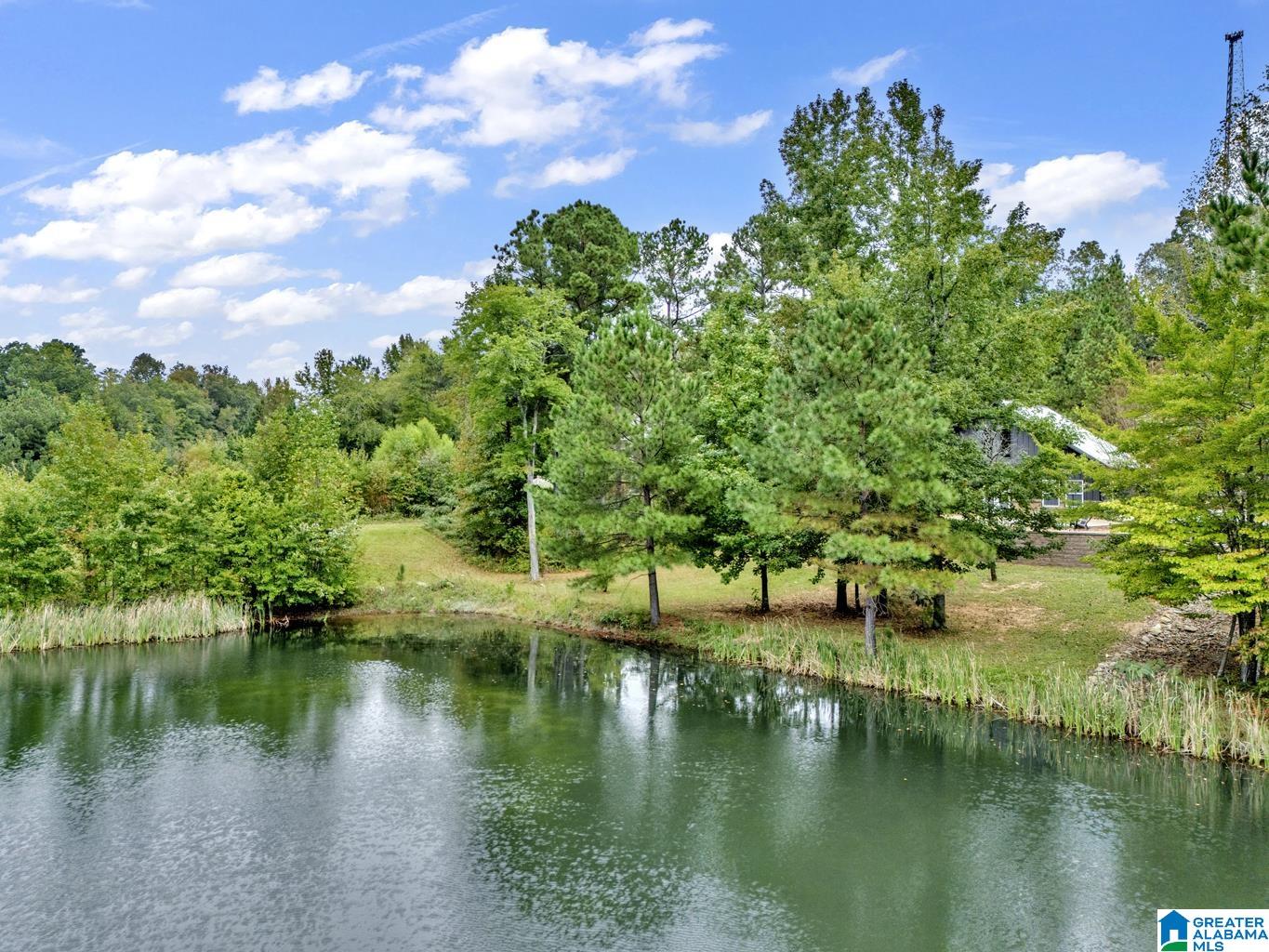 210 COUNTY ROAD 479