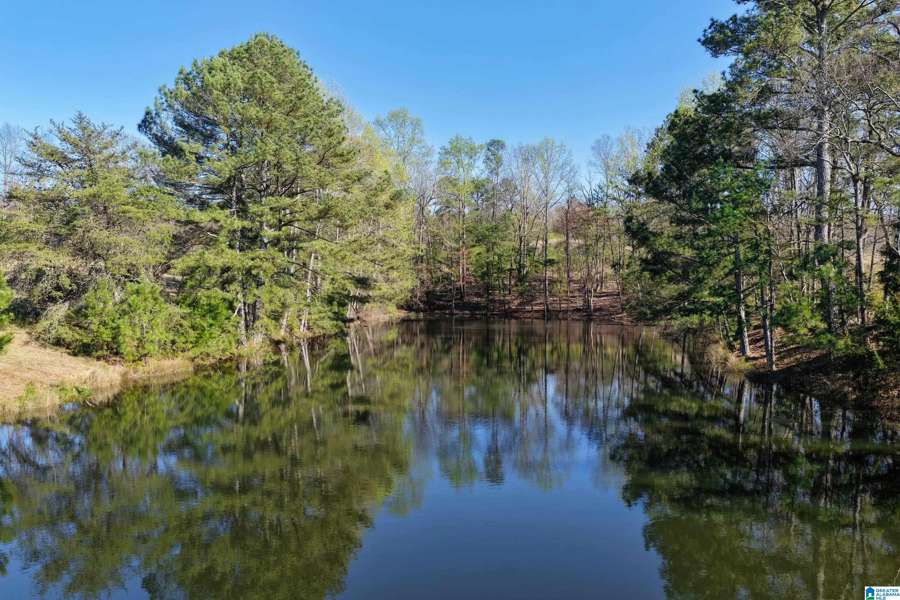 0 SEVEN BARK LANE 34.58