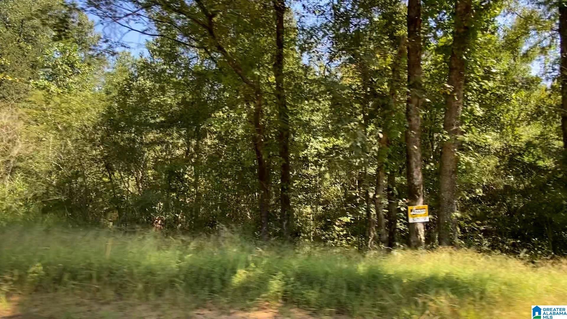 20 SCENIC VALLEY ROAD Tract 5