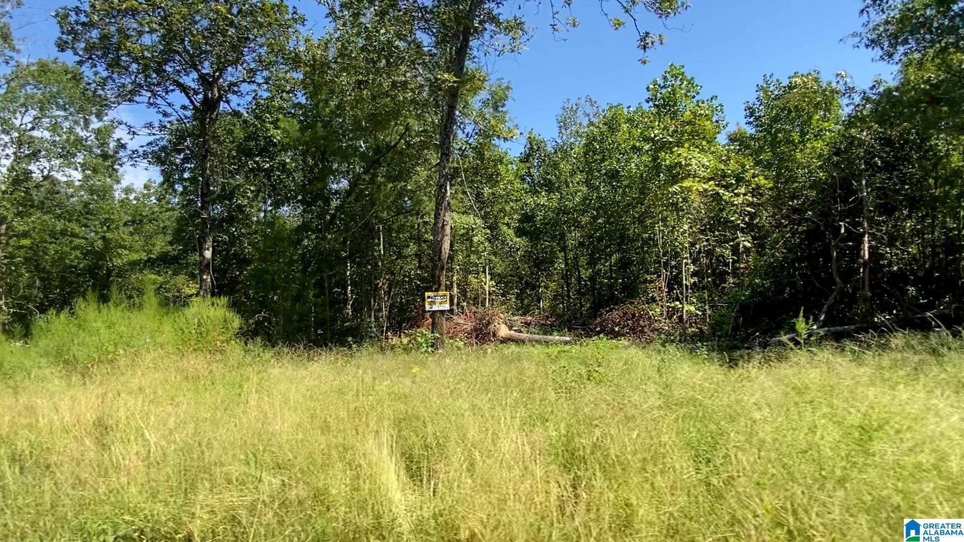 20 SCENIC VALLEY ROAD Tract 5