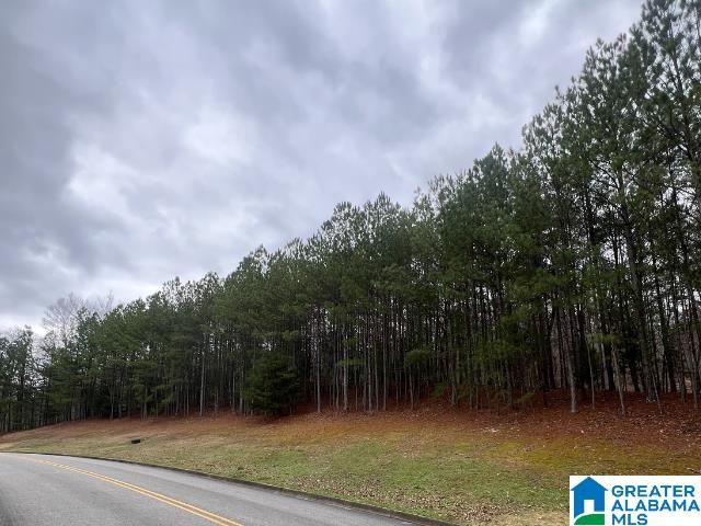 Photo 1 of 3 — 1410 SAINT ANDREWS PARKWAY 80/81, ONEONTA, AL 35121