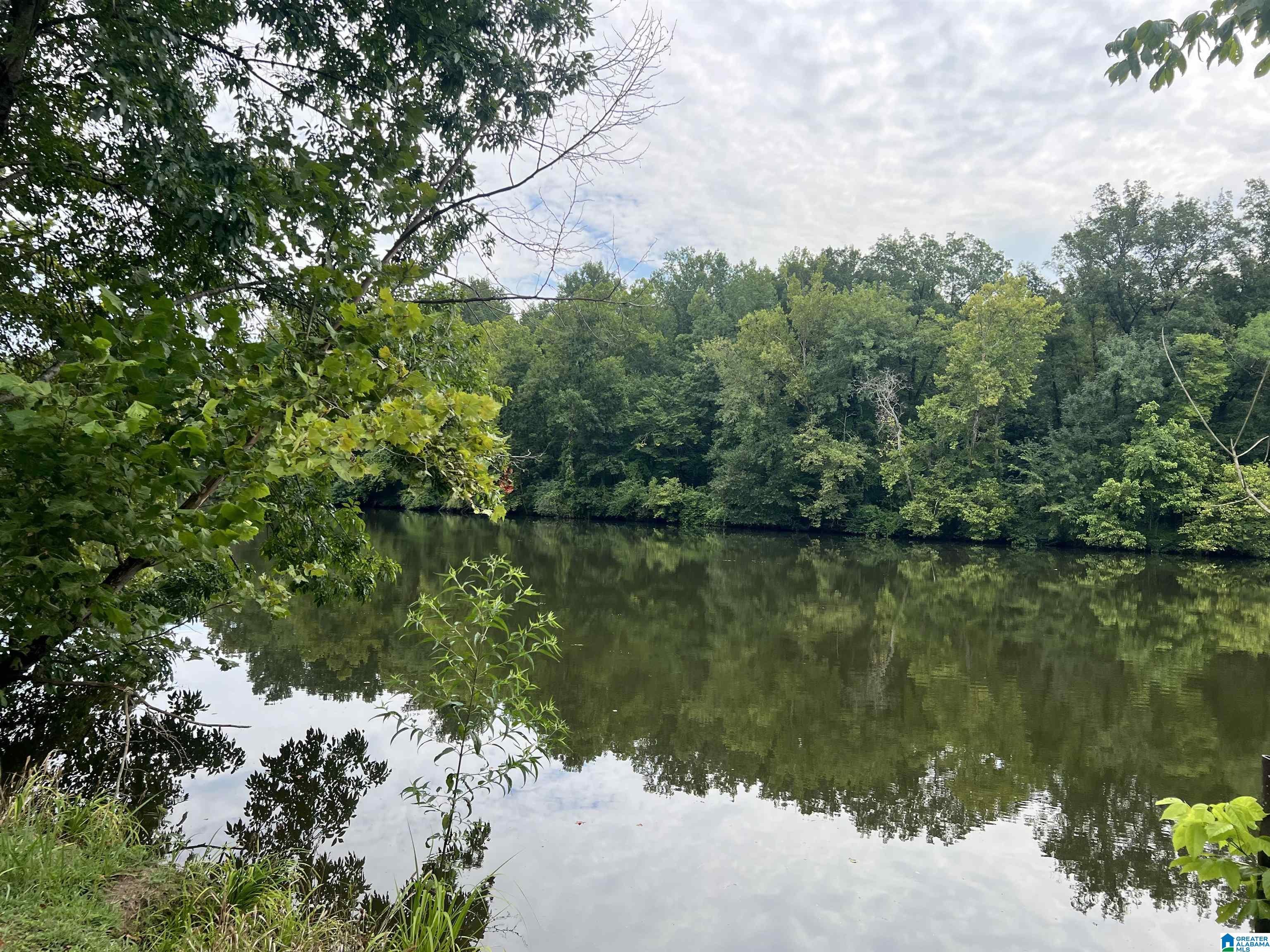 451 PERCY VINES ROAD 451