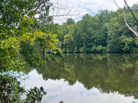 451 PERCY VINES ROAD 451 BESSEMER AL 35130