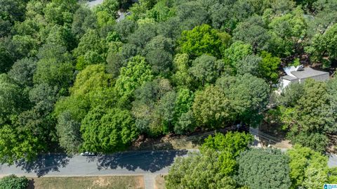 4754 SANDPIPER LANE 31 HOOVER AL 35244