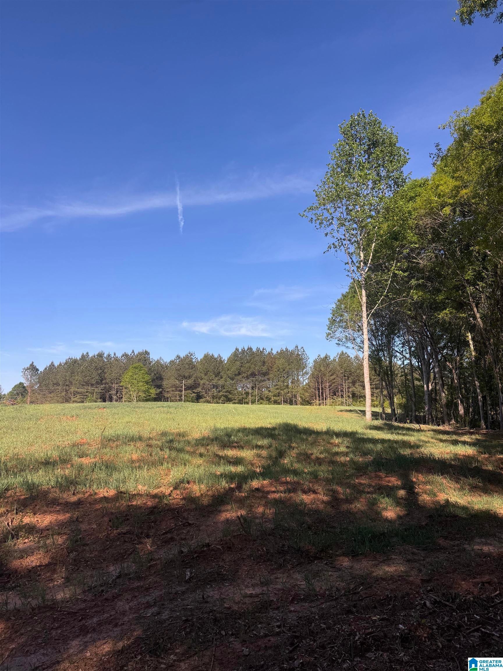 0 COUNTY ROAD 432 5