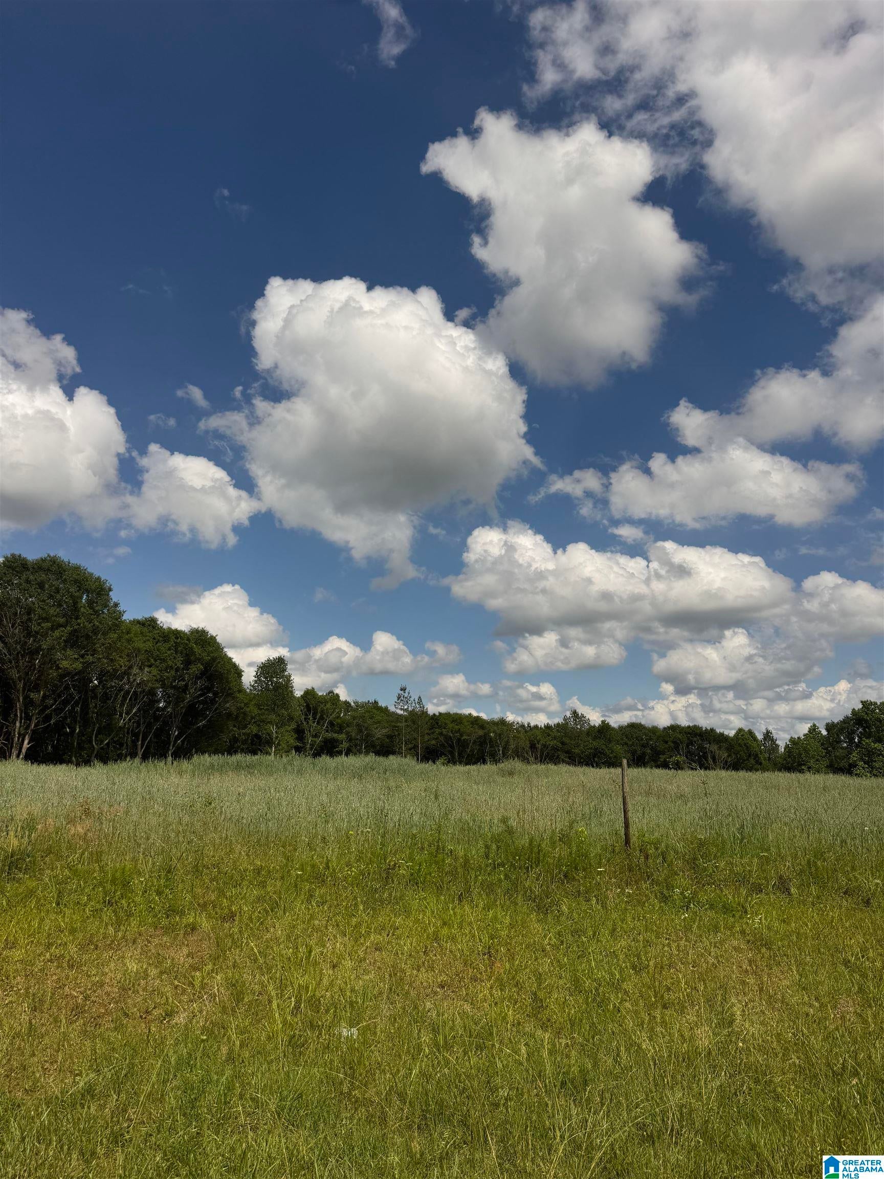 0 COUNTY ROAD 432 5