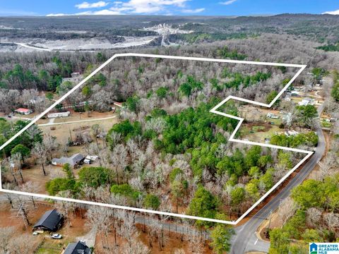 1383 CAMP BRANCH ROAD 1 ALABASTER AL 35007