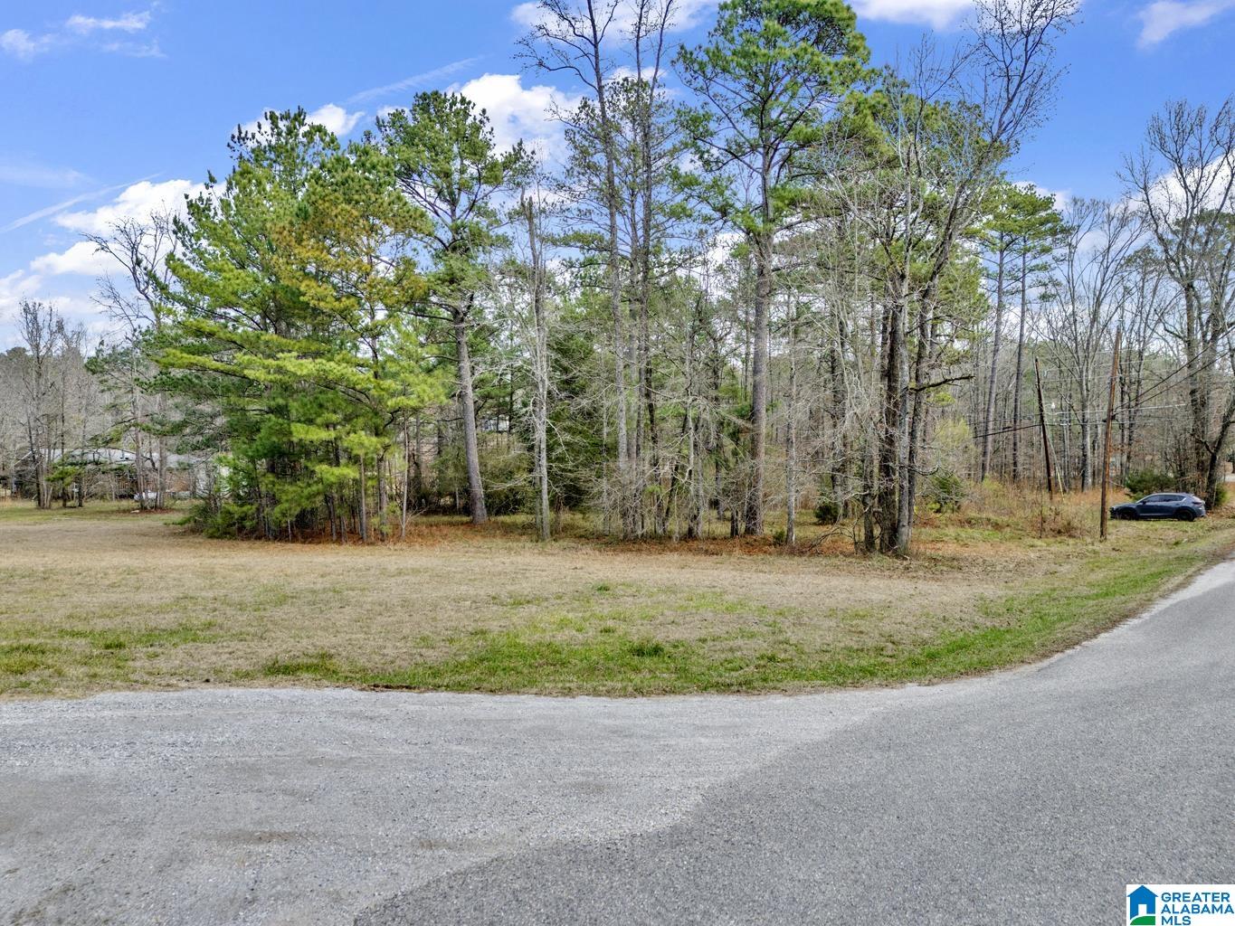 1383 CAMP BRANCH ROAD 1