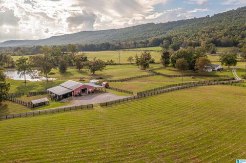 4892 CRAWFORD COVE ROAD SPRINGVILLE AL 35146