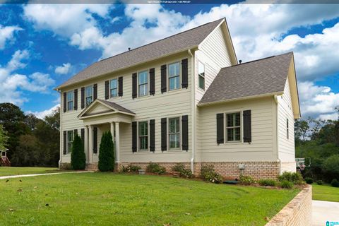 120 MACDONALD LAKE ROAD SPRINGVILLE AL 35146