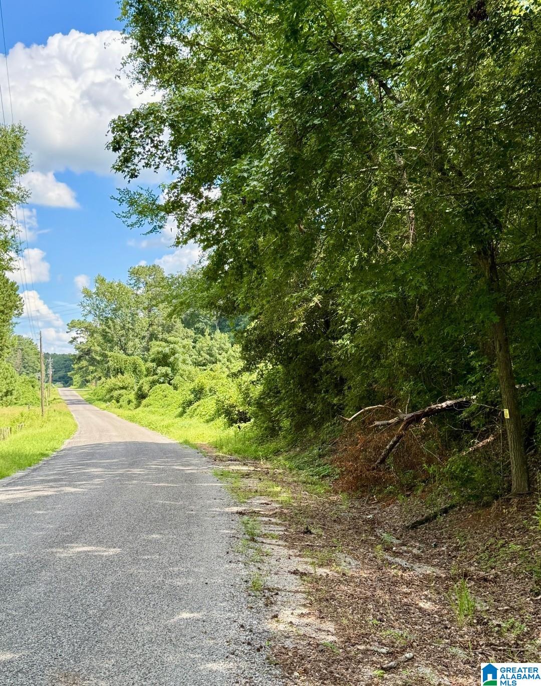 0 OAKDALE ROAD 1