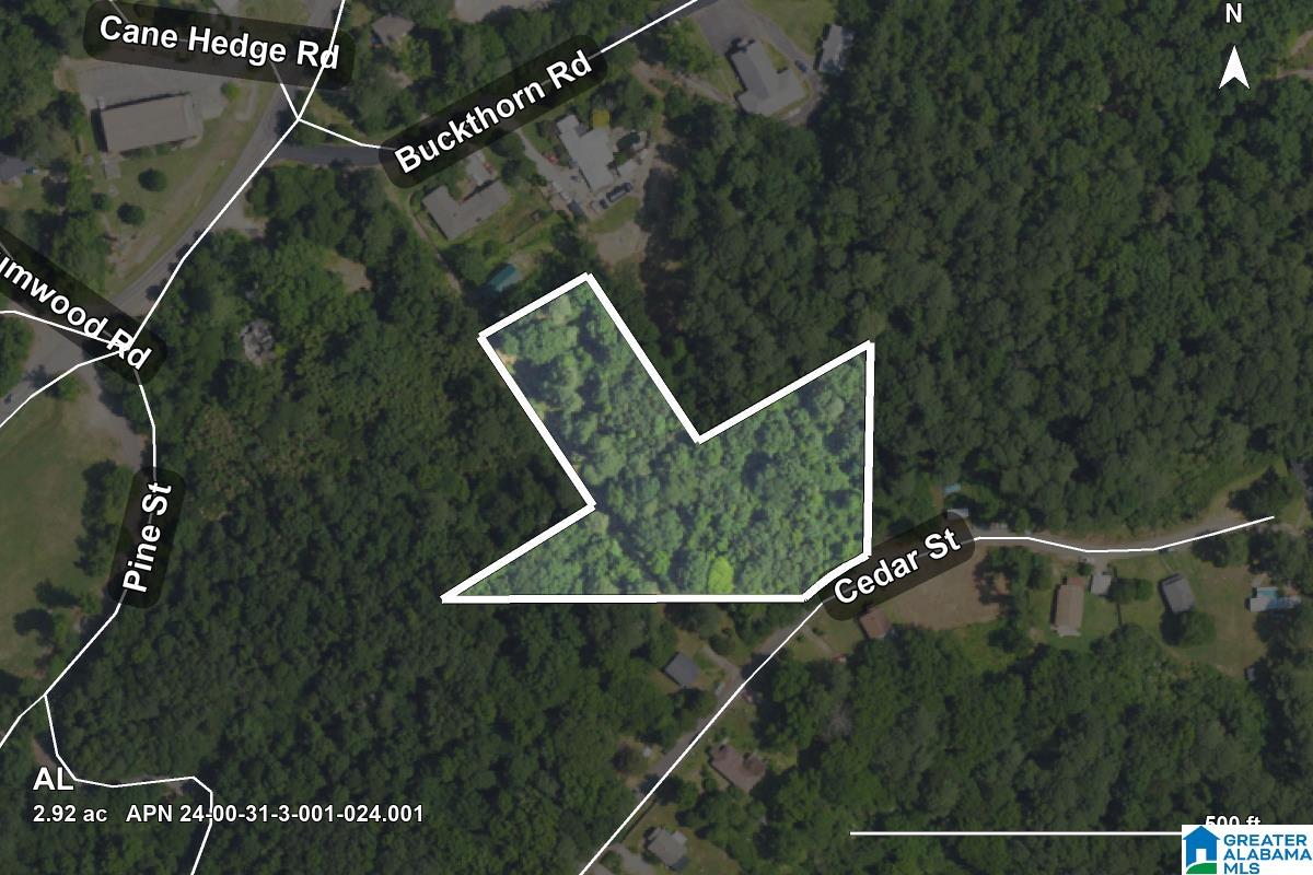 0 CEDAR STREET -