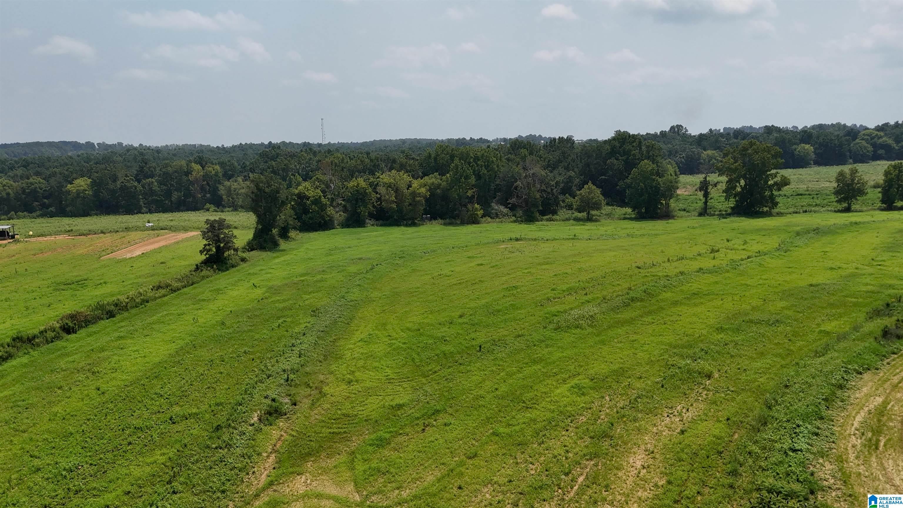 1780 COUNTY ROAD 42 N/A