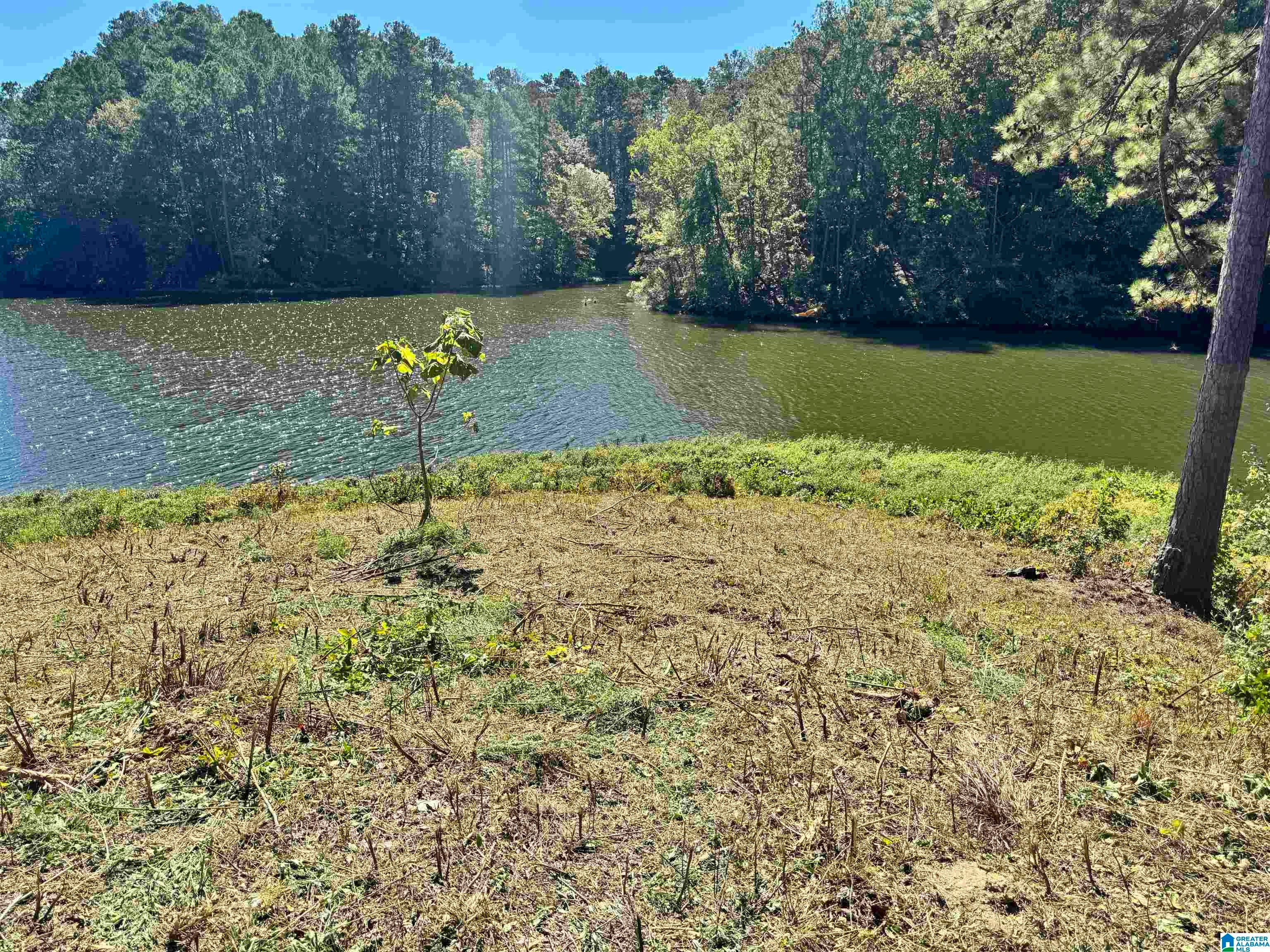 560 MULBERRY LANDING 15