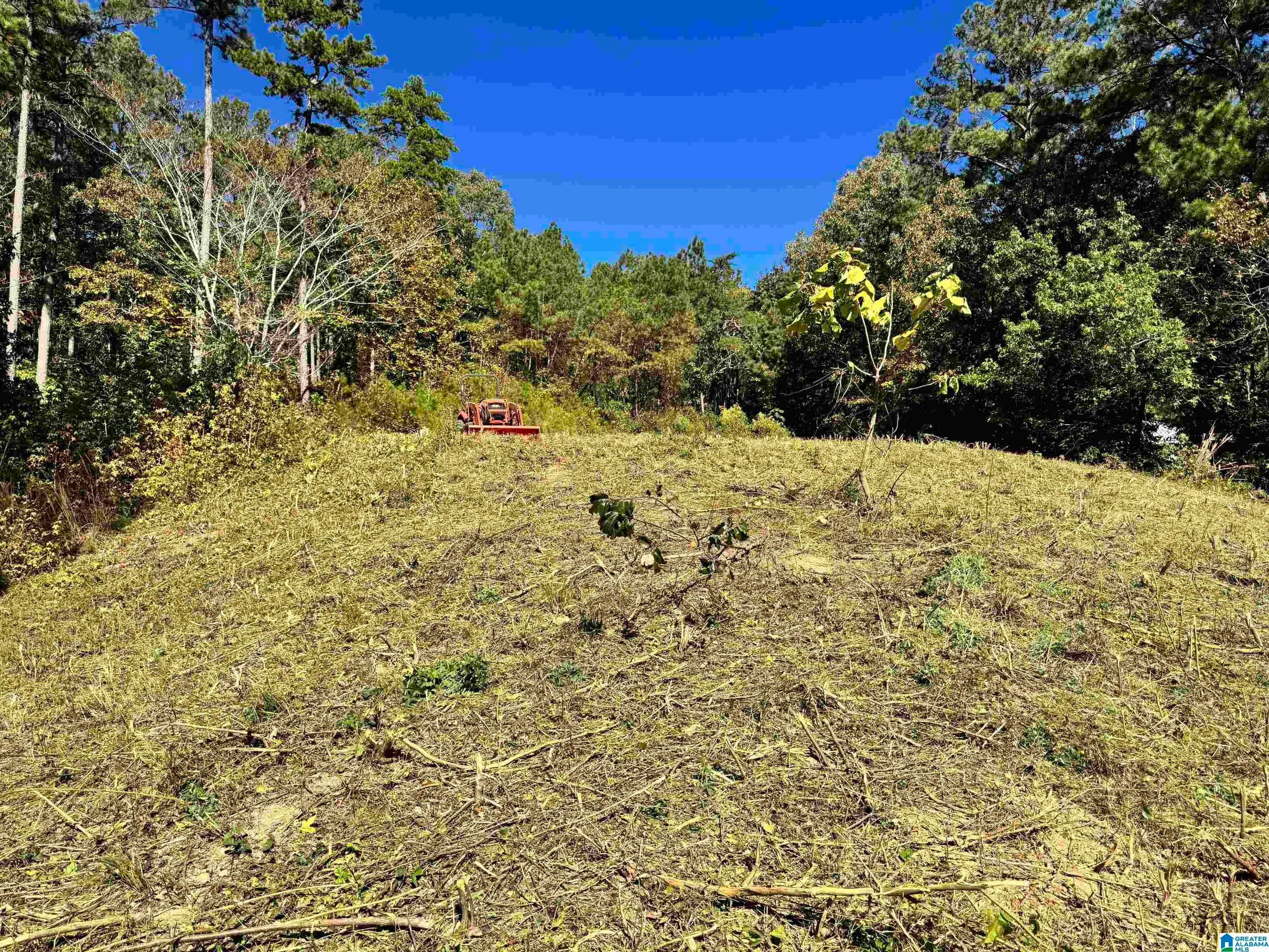 560 MULBERRY LANDING 15