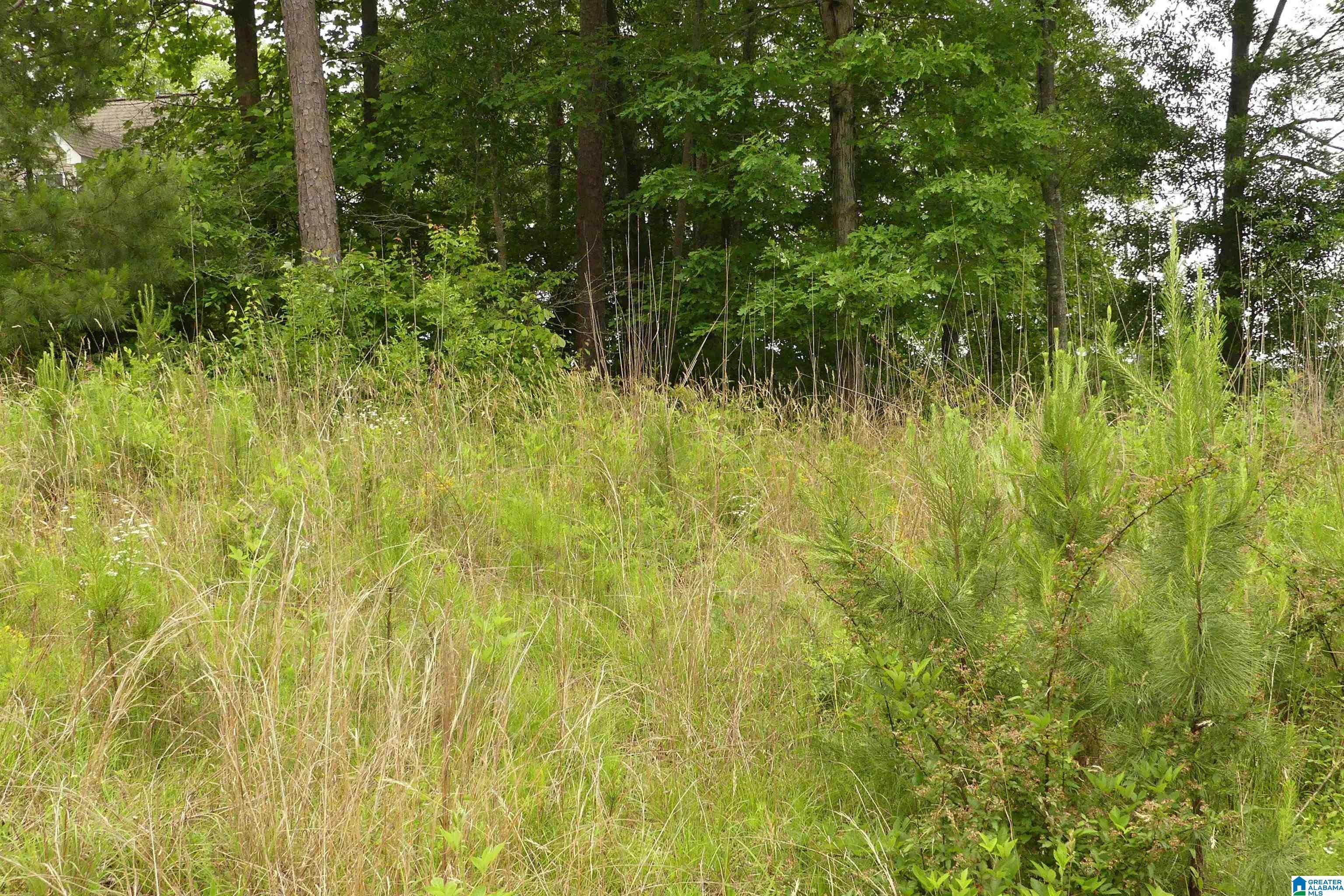 Lot 9 PENINSULA DRIVE 9