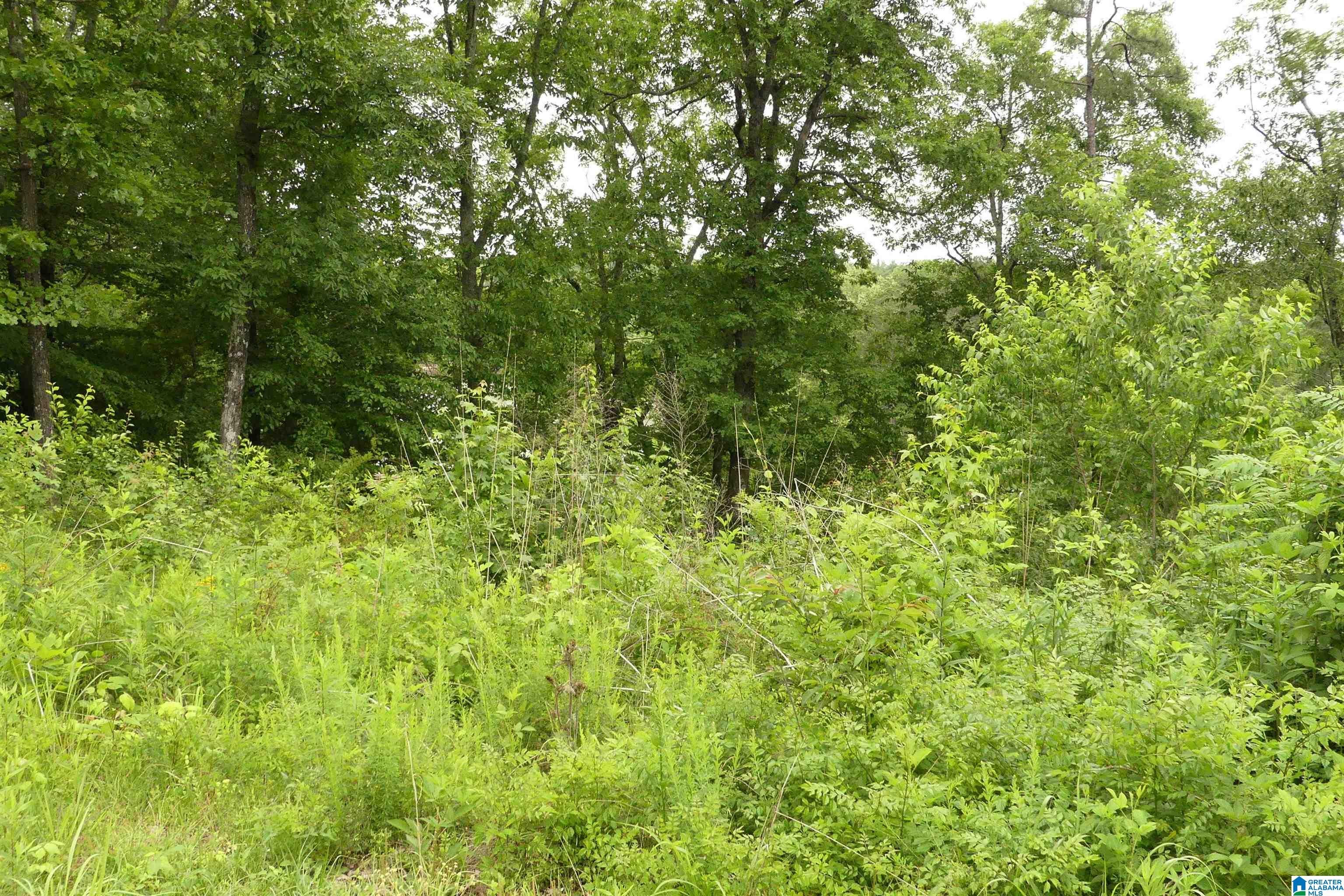 Lot 9 PENINSULA DRIVE 9
