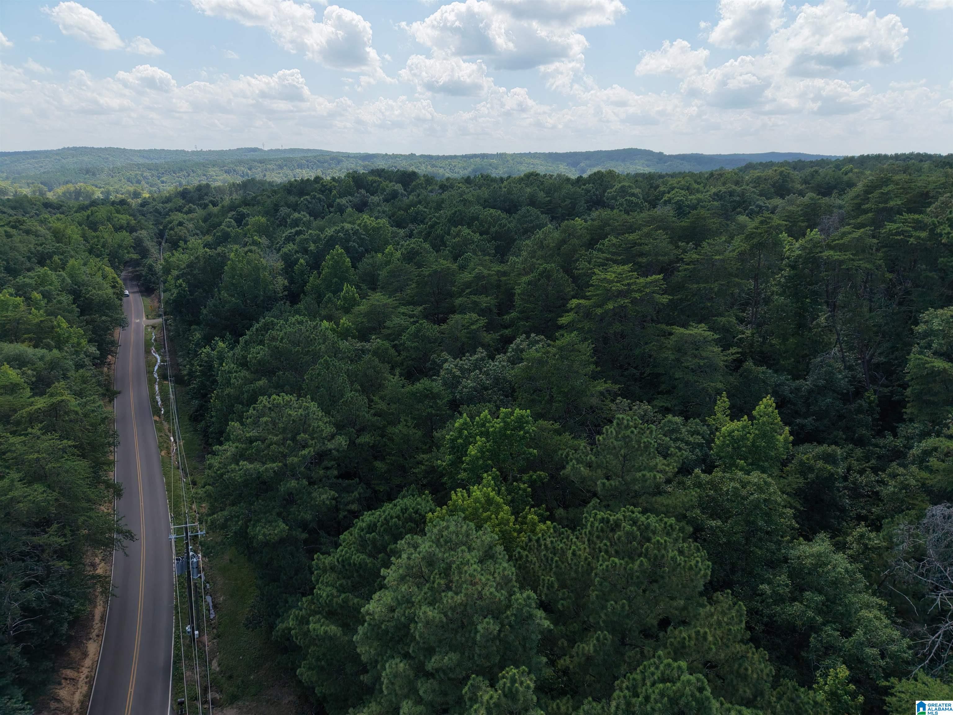 1170 GLENNWOOD ROAD 1
