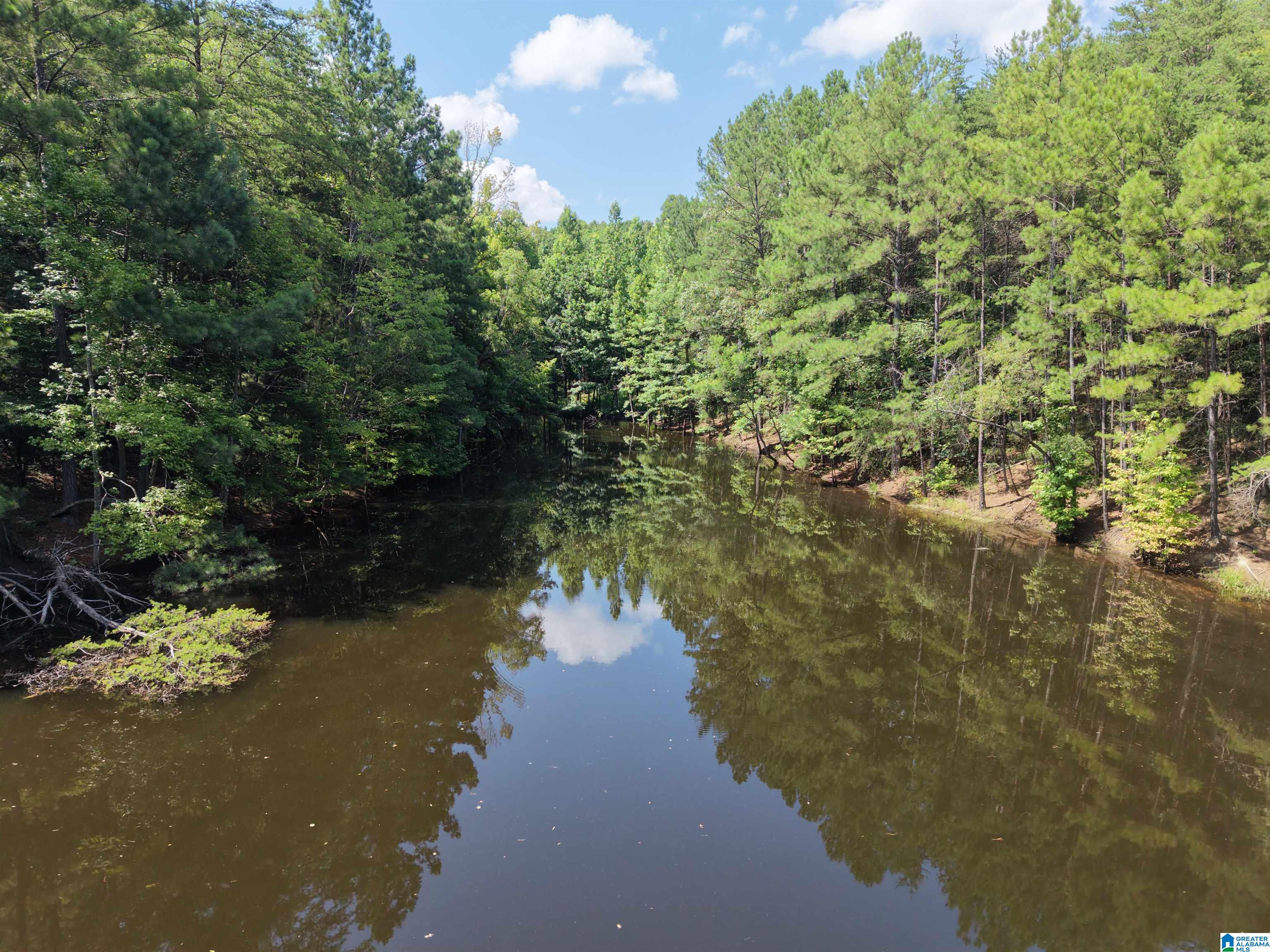 1170 GLENNWOOD ROAD 1