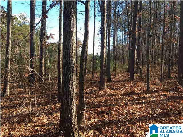 Photo 1 of 2 — 62 HAINES DRIVE 62, VINCENT, AL 35178