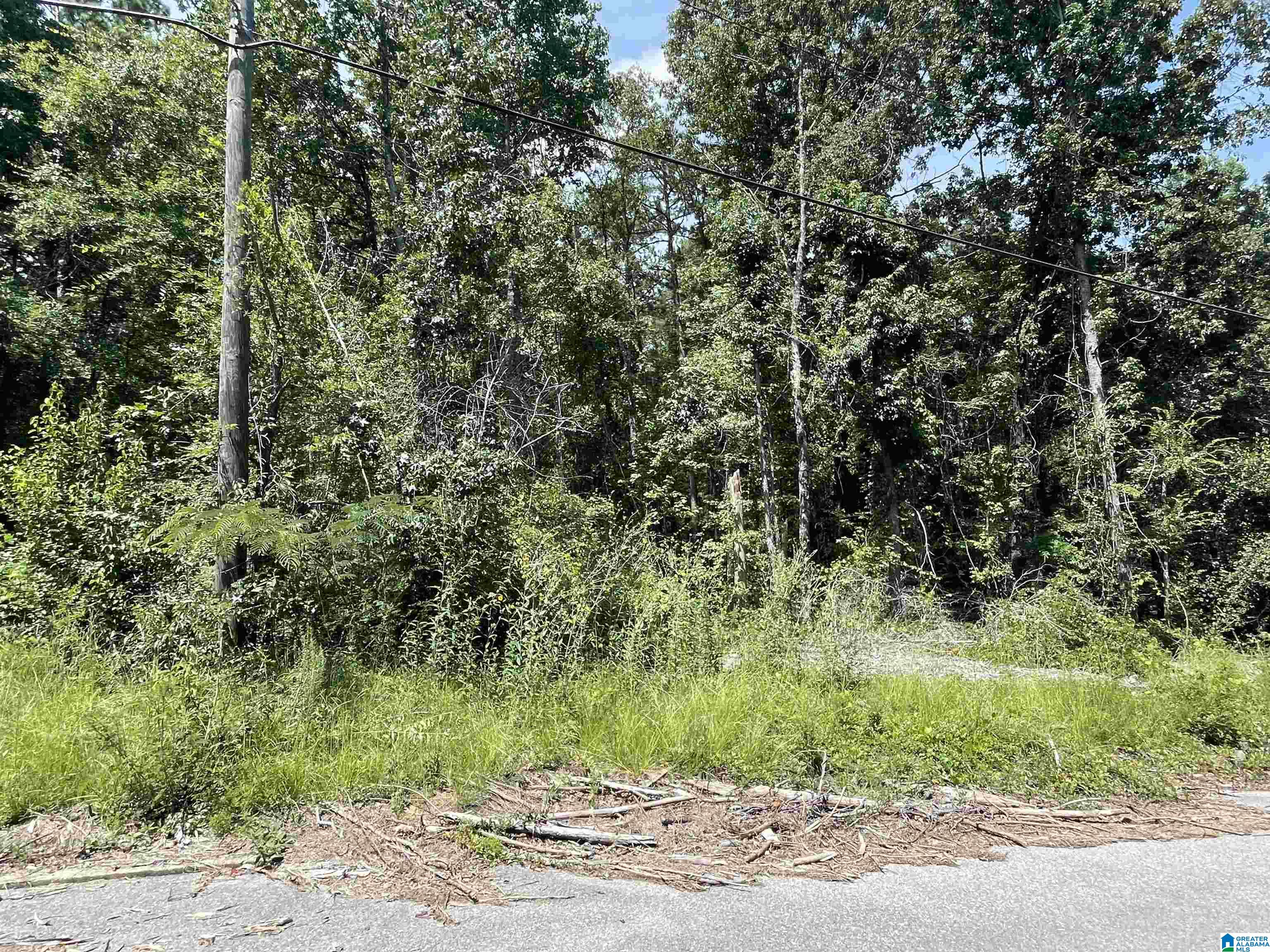 Photo 1 of 1 — 0 WILSON GLEN DRIVE 19, WILSONVILLE, AL 35186