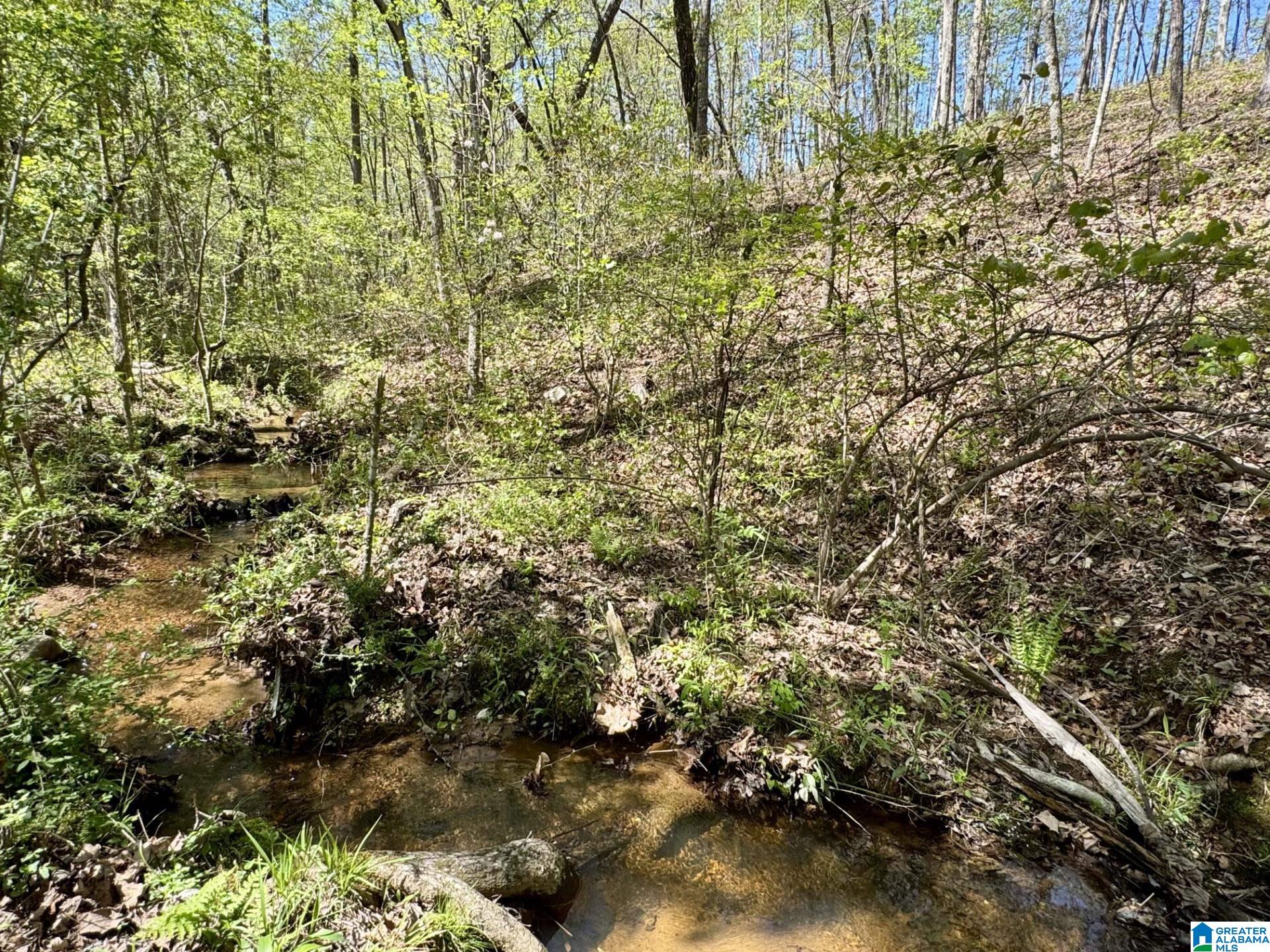 Tract 6 COUNTY ROAD 268 6