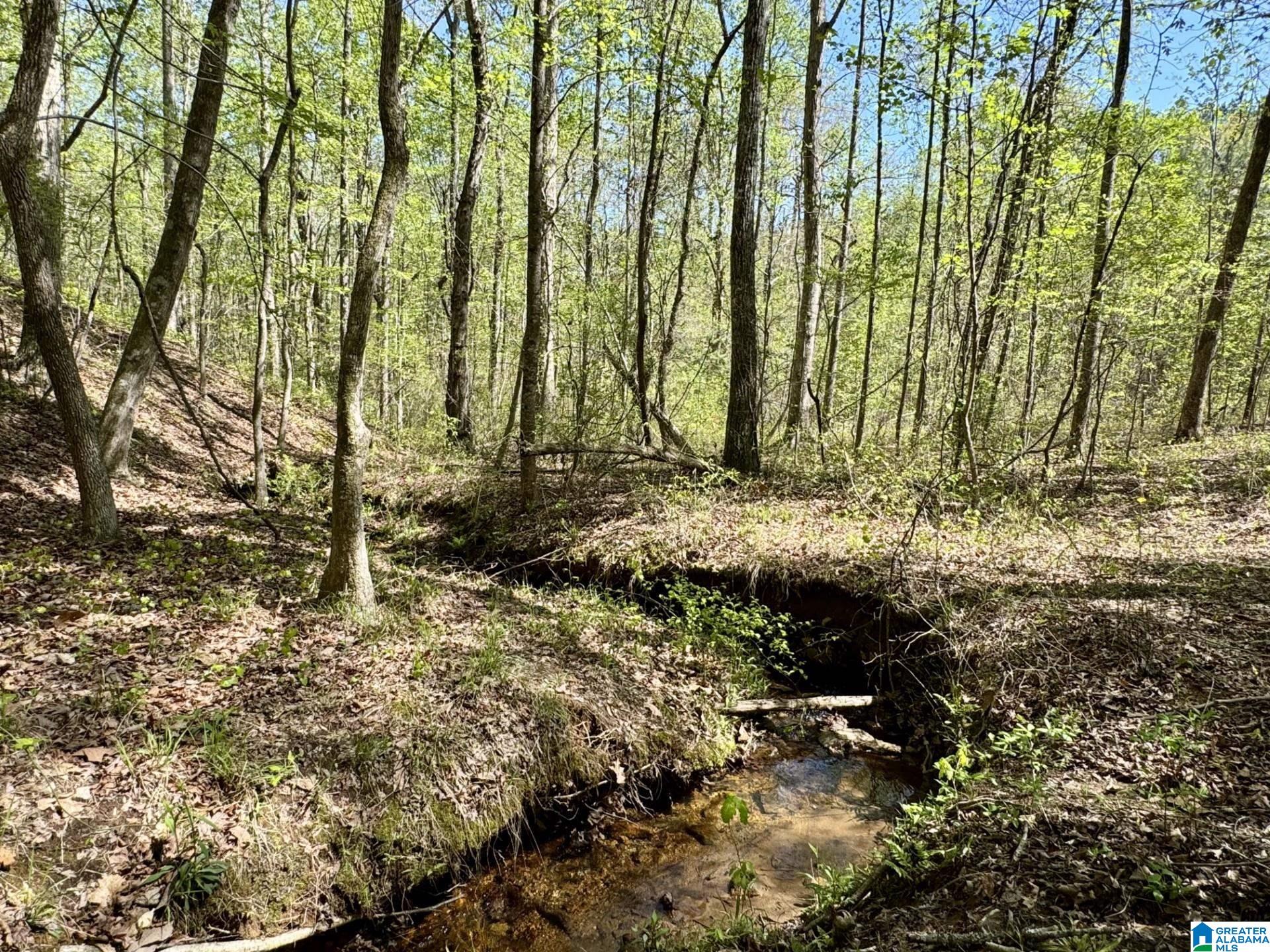 Tract 6 COUNTY ROAD 268 6