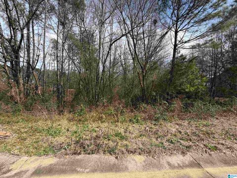 1112 BAYLOR COURT 67 PELL CITY AL 35125