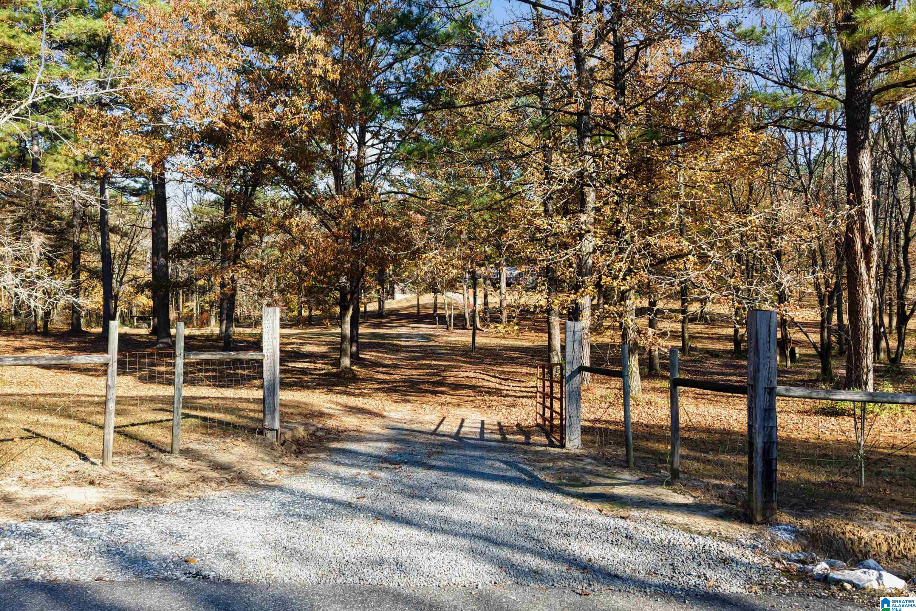 12734 PHEASANT DRIVE