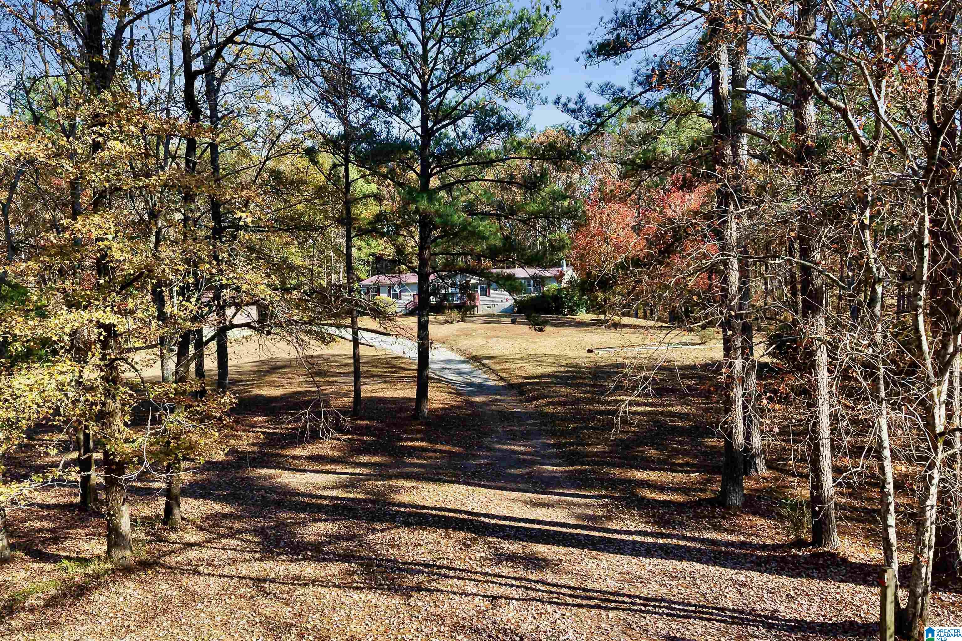 12734 PHEASANT DRIVE