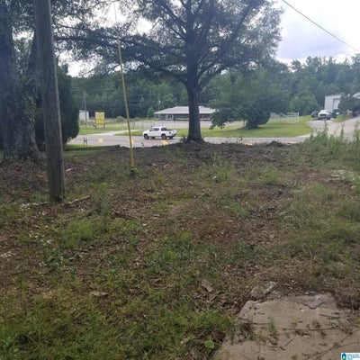 11284 US HIGHWAY # 0, RIVERSIDE, AL 35135 - Image 2513cbb34a9ff1815a9b98d64ccffa17/2874945268