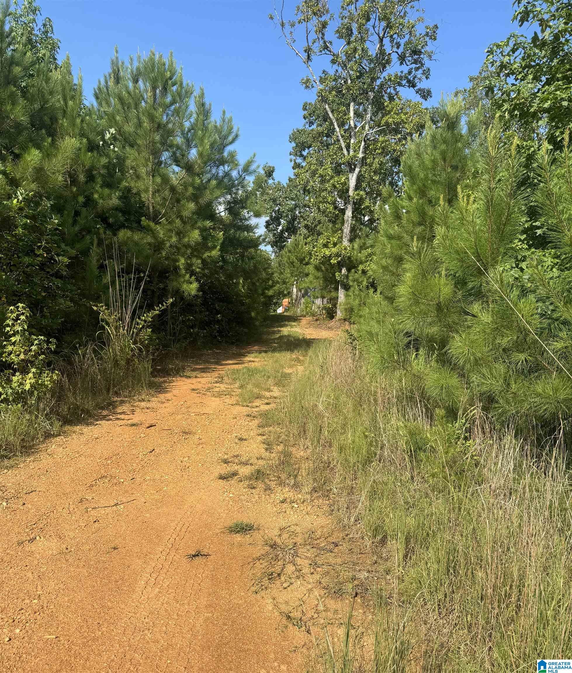 0 COUNTY ROAD 49 0