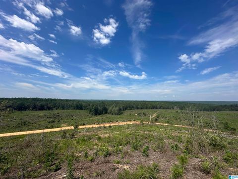 0 COUNTY ROAD 305 1 MAPLESVILLE AL 36750