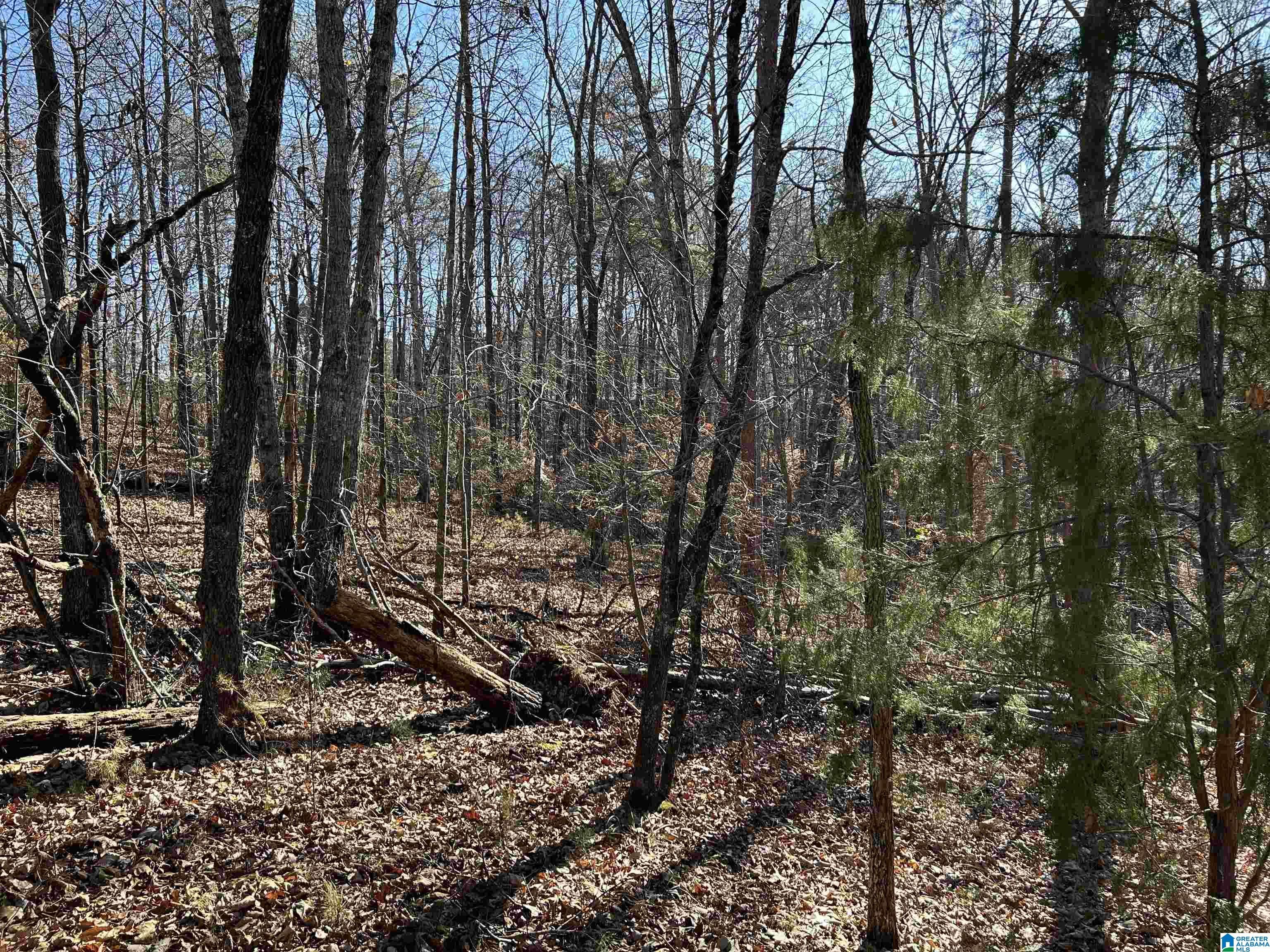 113 N HIGHLAND DRIVE 10