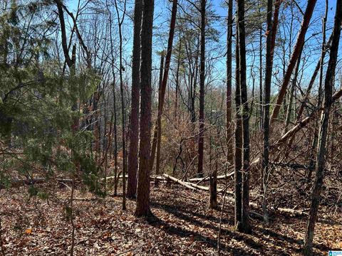 113 N HIGHLAND DRIVE 10 COLUMBIANA AL 35051