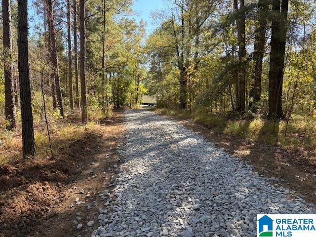 Photo 1 of 22 — US HWY 231 n/a, MATHEWS, AL 36052