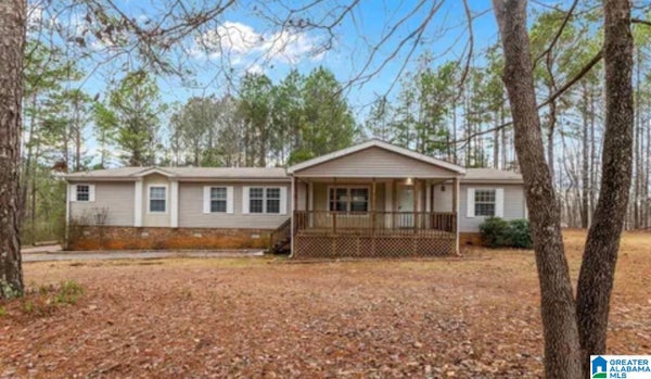 55 LARGO DR, PELL CITY, AL 35125 - Image 2640d00a281a8a1414c0440f44617266/2580608516