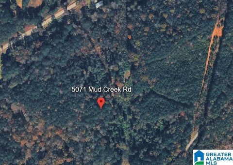 5071 MUD CREEK ROAD 5071 ADGER AL 35006
