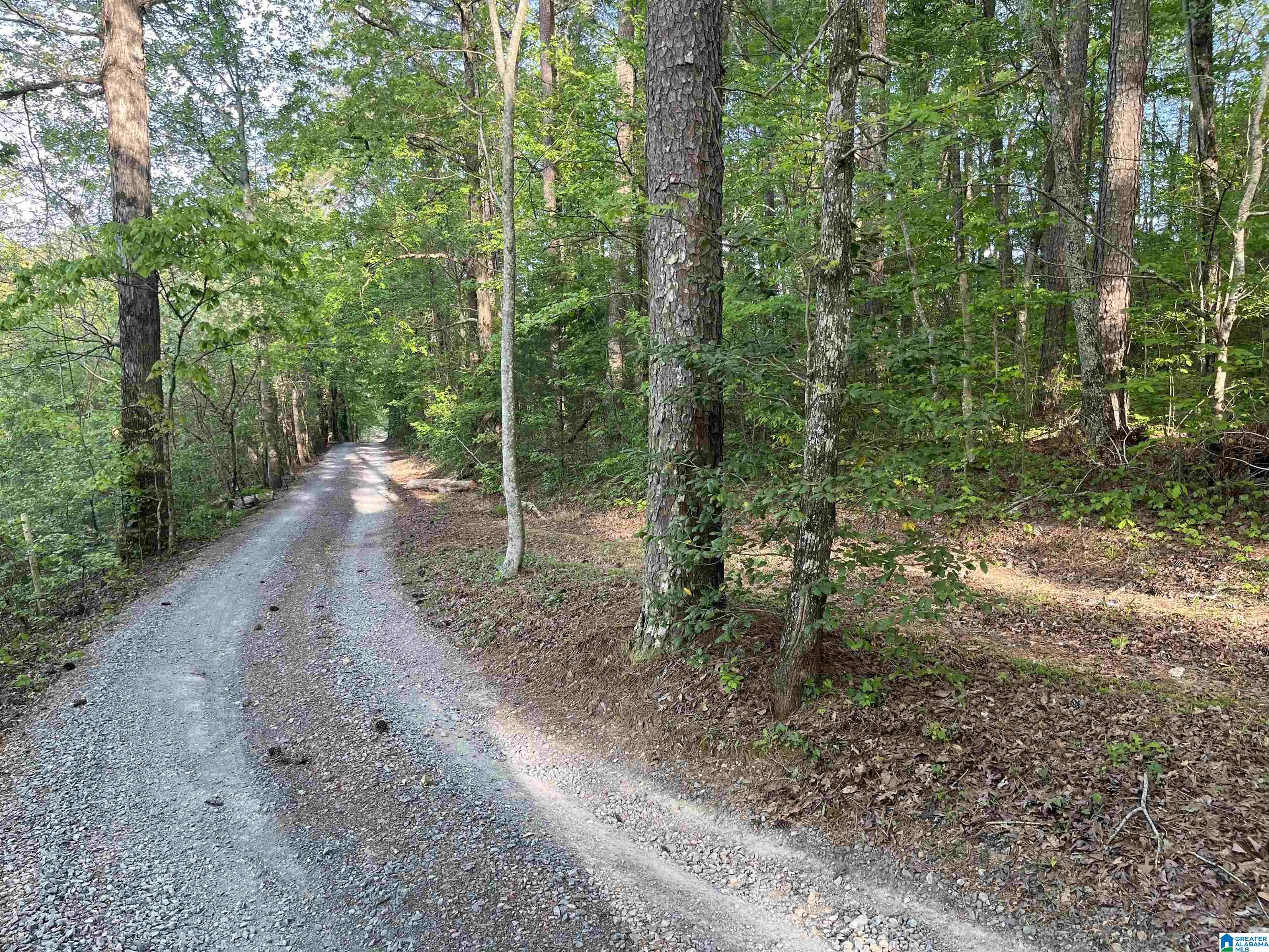 Photo 1 of 9 — 6446 TRUSSVILLE CLAY ROAD 6446, TRUSSVILLE, AL 35173