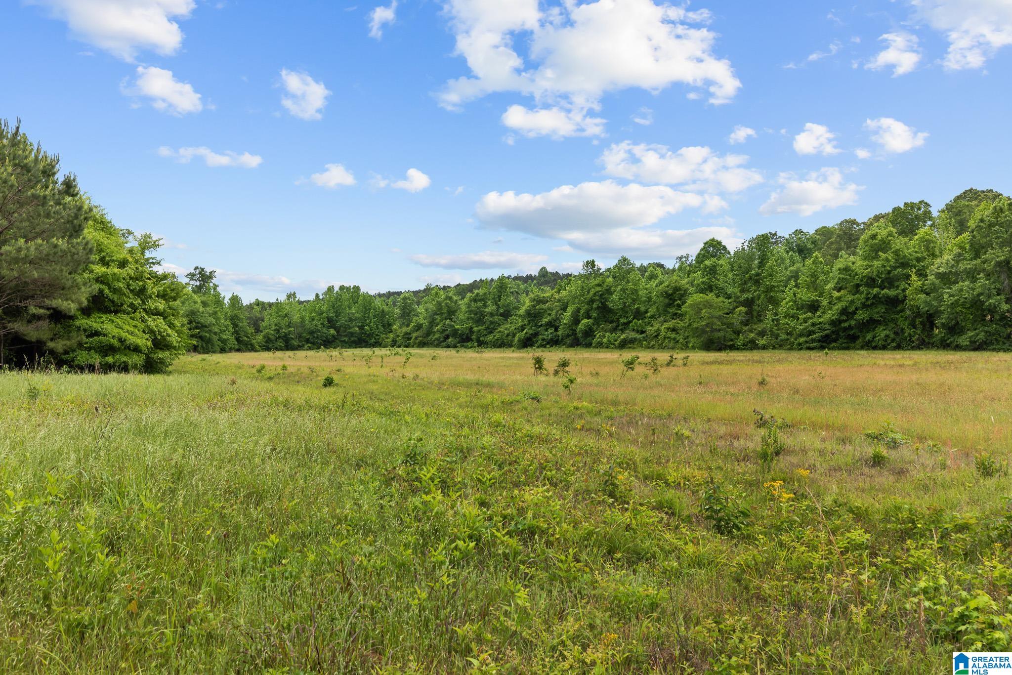 0 HWY 91 107 acres