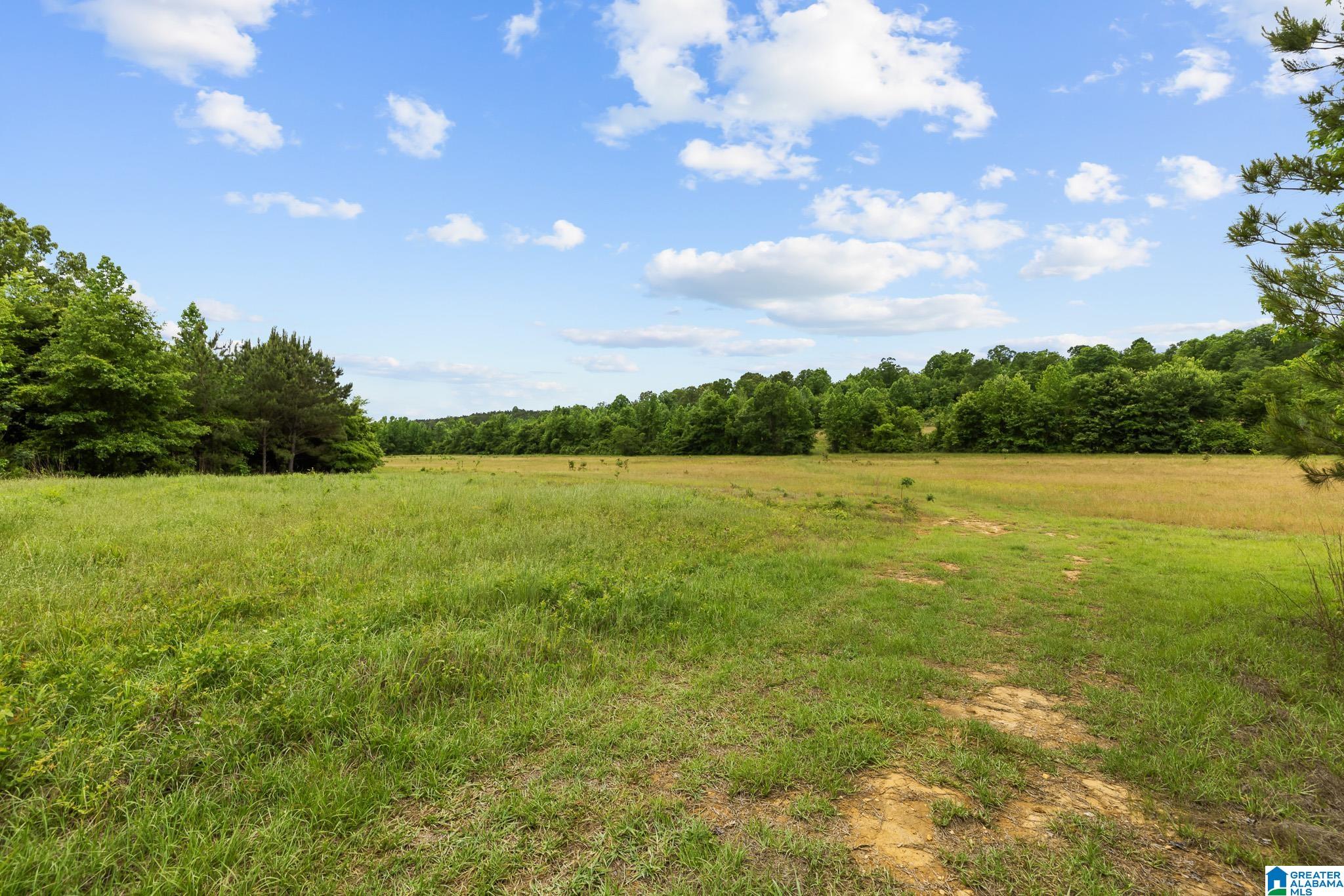 0 HWY 91 107 acres