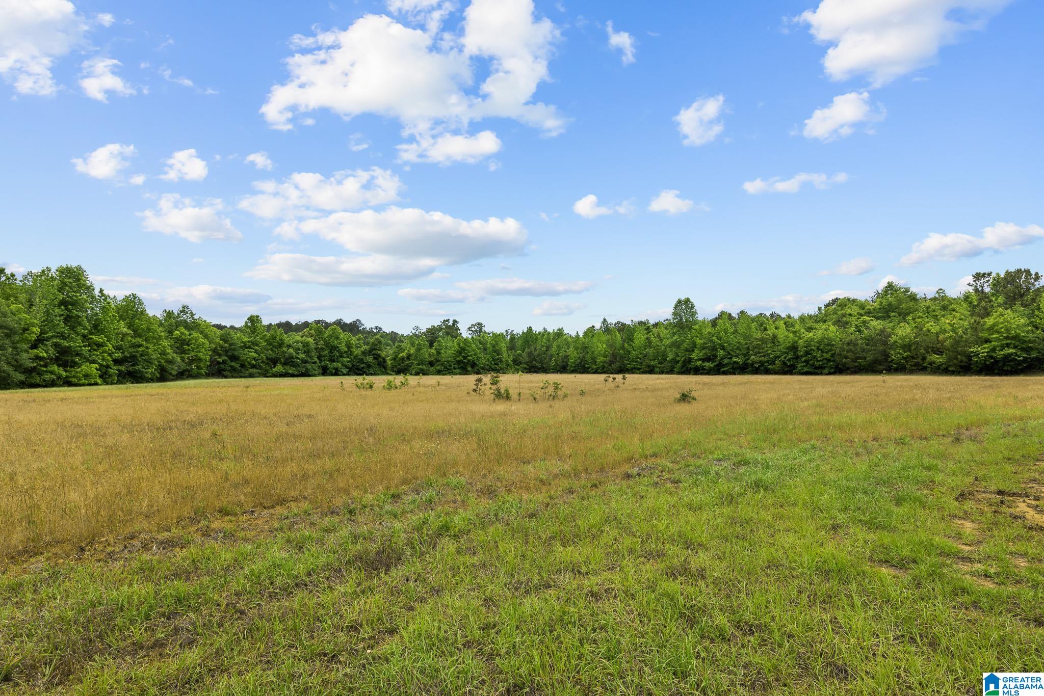 0 HWY 91 107 acres