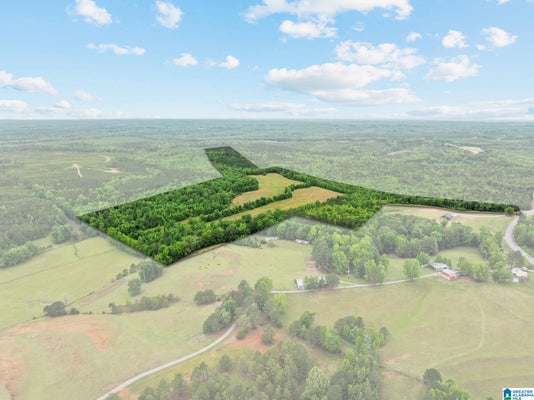 AL HIGHWAY 191, MAPLESVILLE, AL 36750 - Image 26b77c62825f72a67fbfd3d7e7df8b1d/3720336521