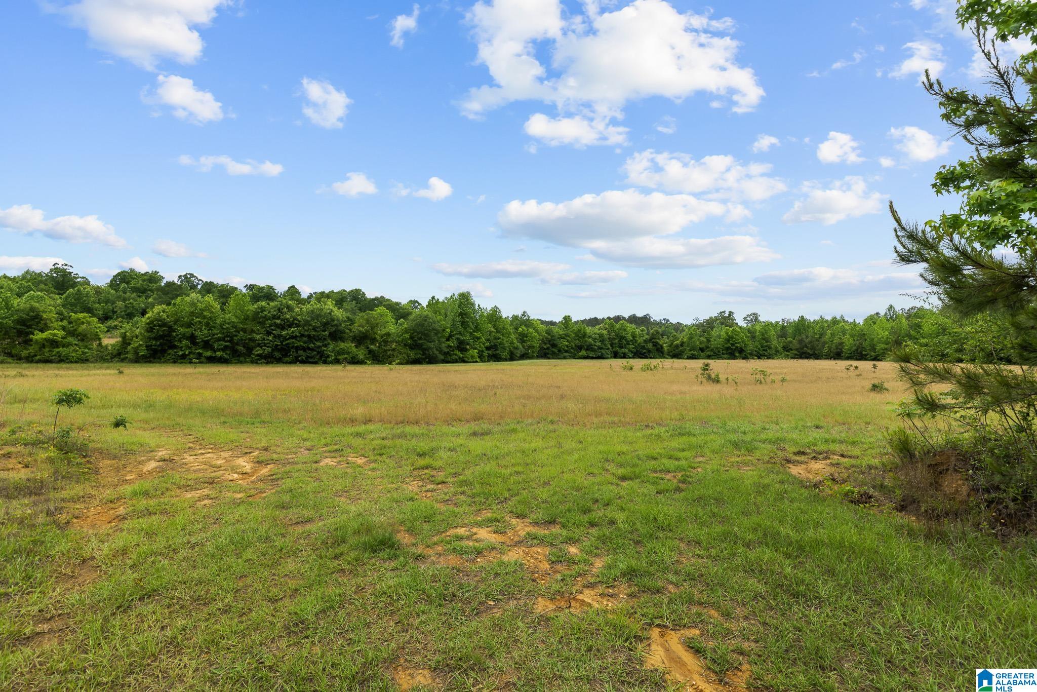 0 HWY 91 107 acres