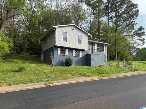 2125 HENRY CRUMPTON DRIVE BIRMINGHAM AL 35211