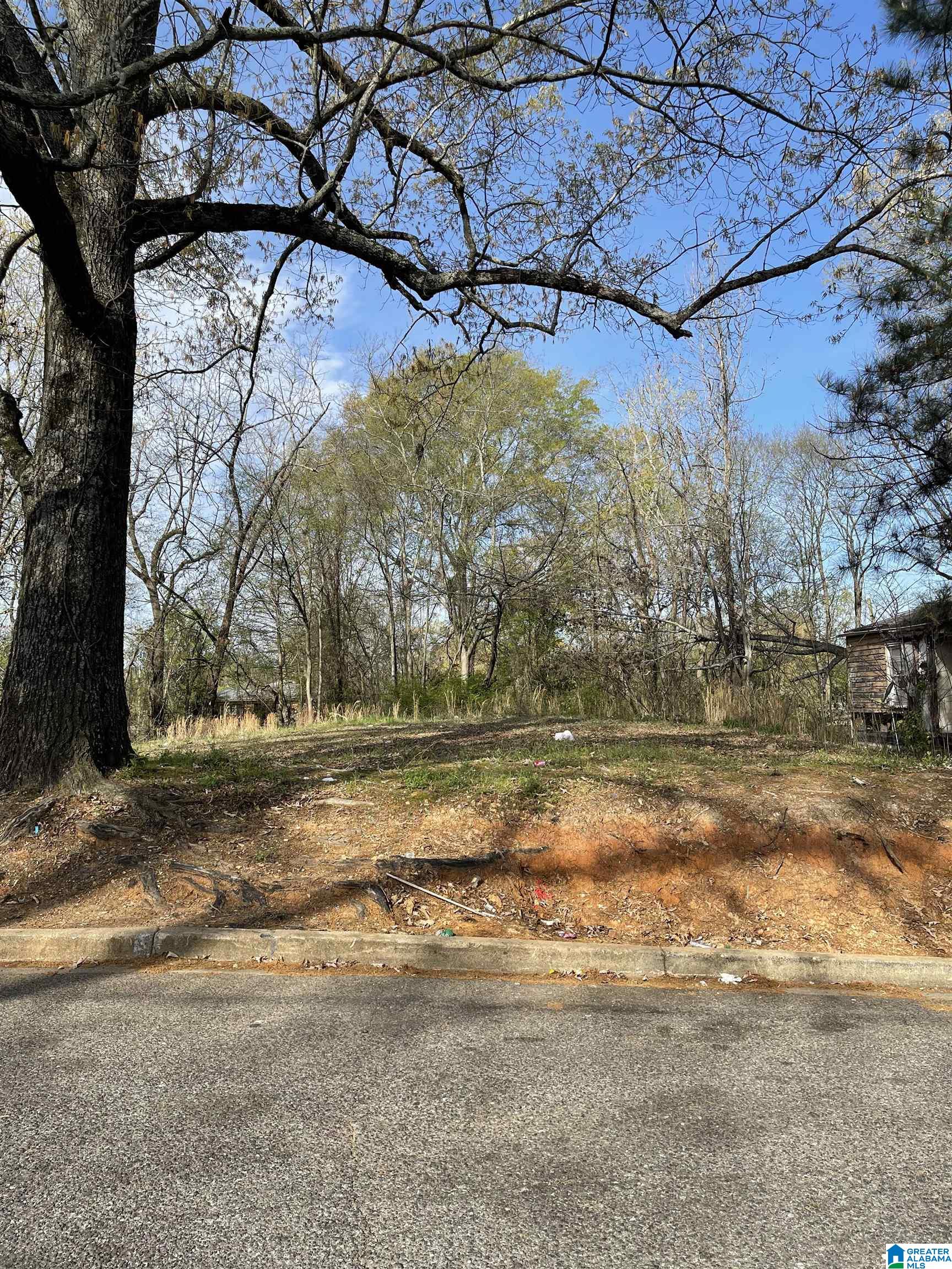 Photo 1 of 1 — 7232 PARIS AVENUE 0, BIRMINGHAM, AL 35206
