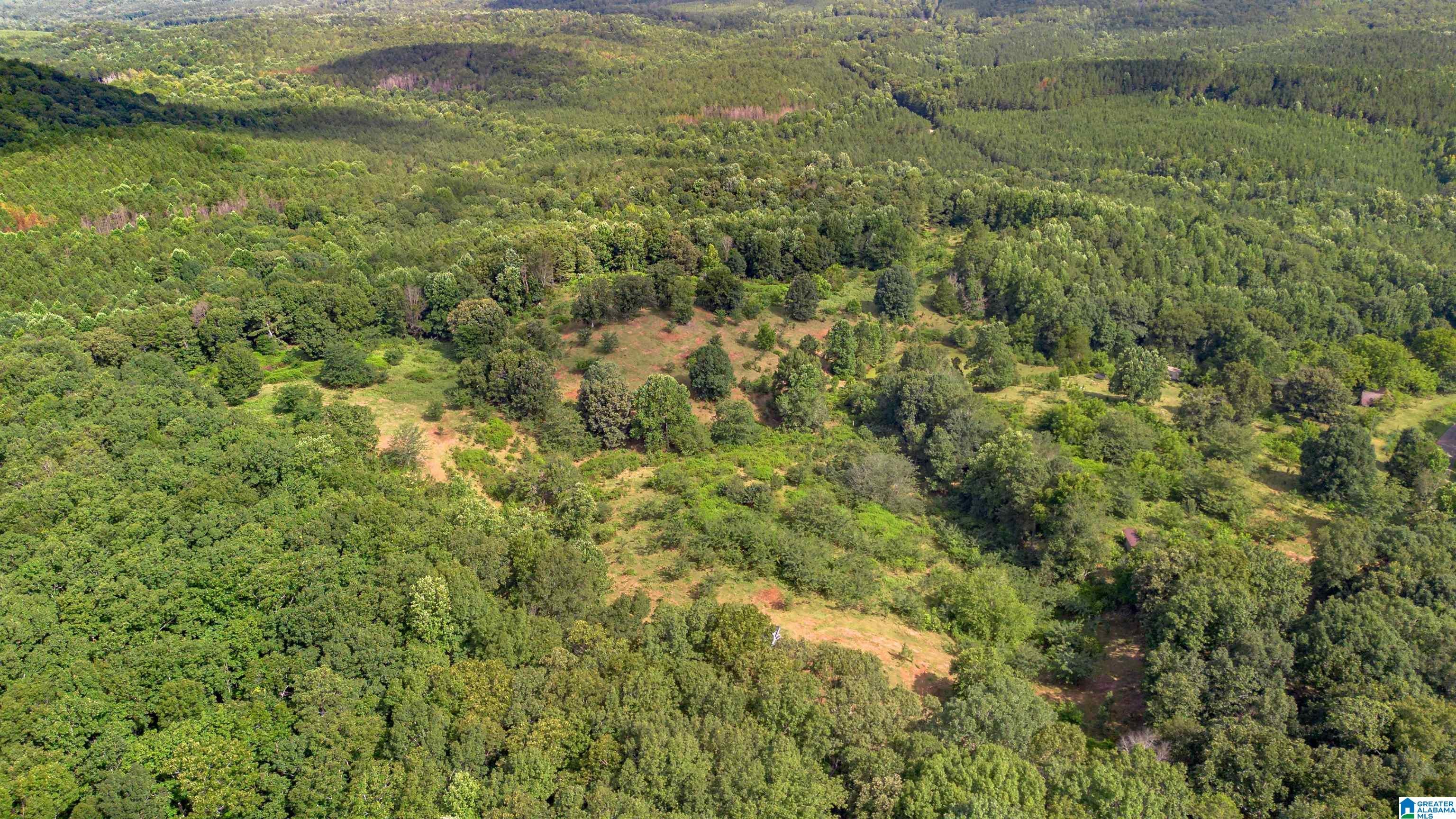 5967 COUNTY ROAD 19 1